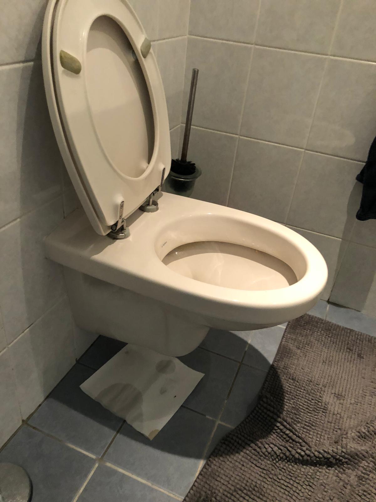 hangtoilet Hendrik-Ido-Ambacht